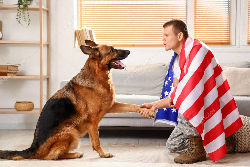 Soldier of USA army with military working dog at home