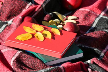 Ekoseli kitap yığını ve sonbahar yaprakları