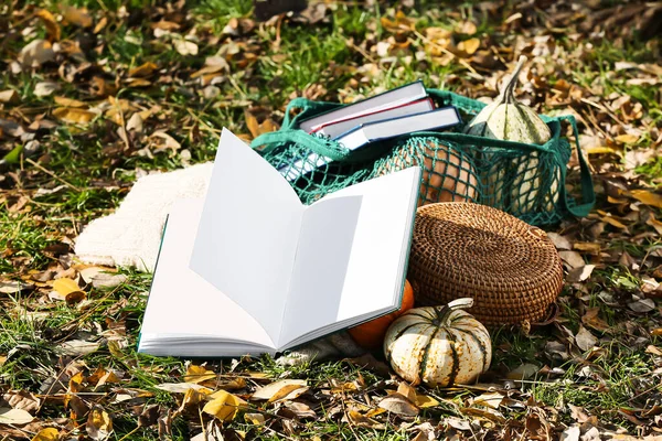 Opened Book Female Bag Pumpkins Green Grass Autumn Leaves — Stock Photo, Image