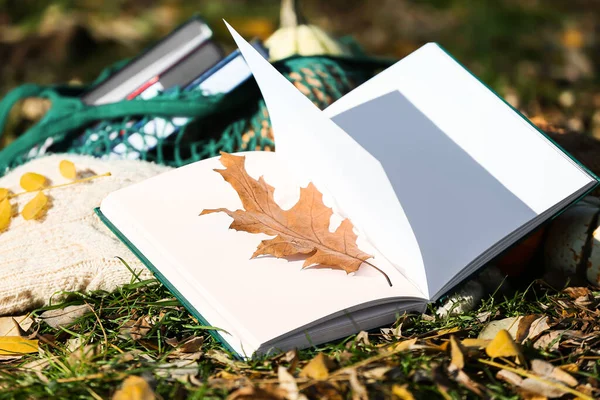 Opened Book Blank Pages Autumn Leaf Green Grass — Stock Photo, Image