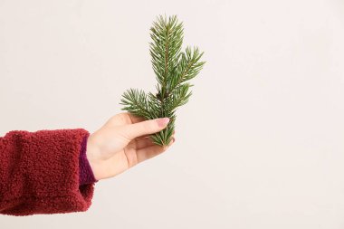 Arka planda köknar ağacı dalı olan kadın el