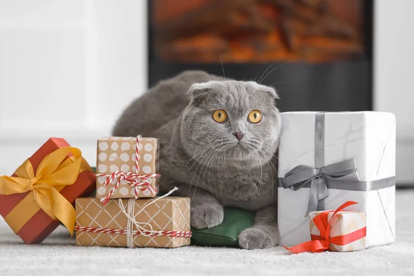 Niedliche Scottish Fold Katze Mit Weihnachtsgeschenken Hause — Stockfoto