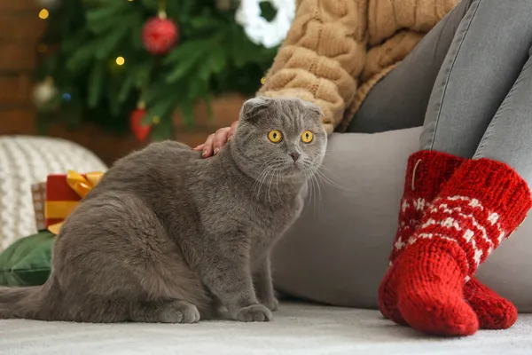 女性ともにかわいいですスコティッシュFold猫ホームオンクリスマスEve — ストック写真