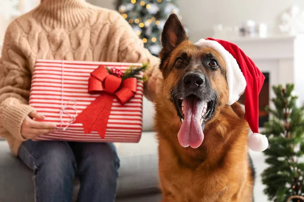 Frau Mit Geschenk Und Niedlichem Schäferhund Heiligabend Hause — Stockfoto