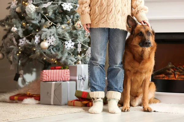 Kvinde Med Søde Tyske Shepherd Hund Hjemme Juleaften - Stock-foto