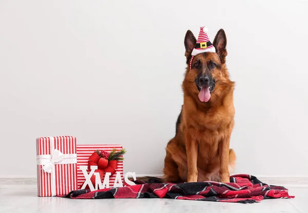 Lindo Perro Pastor Alemán Santa Sombrero Con Regalos Navidad Cerca —  Fotos de Stock