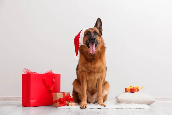 Lindo Perro Pastor Alemán Santa Sombrero Con Bolsa Compras Regalos —  Fotos de Stock