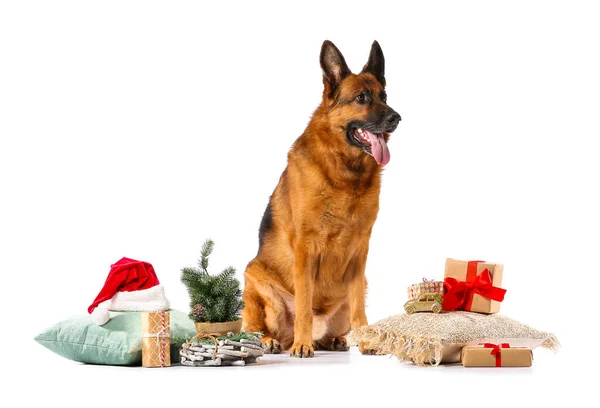 Lindo Perro Pastor Alemán Con Regalos Navidad Decoración Sobre Fondo —  Fotos de Stock