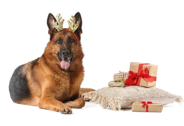 Cute German Shepherd Dog Christmas Gifts Deer Horns White Background — Stock Photo, Image