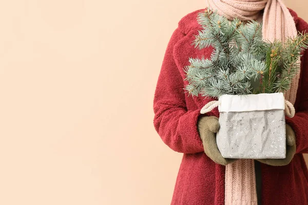 Young Woman Warm Clothes Holding Box Fir Tree Branches Beige — Stock Photo, Image