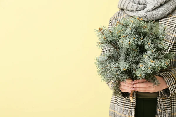 Woman Warm Clothes Holding Beautiful Fir Tree Branch Color Background — Stock Photo, Image