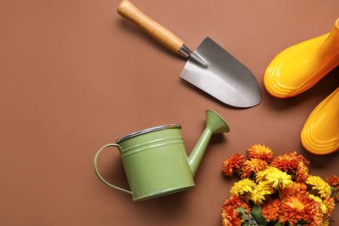 Güzel kasımpatı çiçekleri ve kahverengi arka planda küreği olan bir teneke kutu.