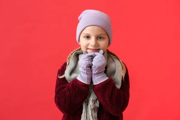 Renkli Arka Planda Şık Kış Kıyafetleri Içinde Küçük Bir Kız — Stok fotoğraf