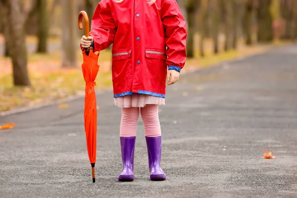 Menina Com Guarda Chuva Andando Parque Outono — Fotografia de Stock