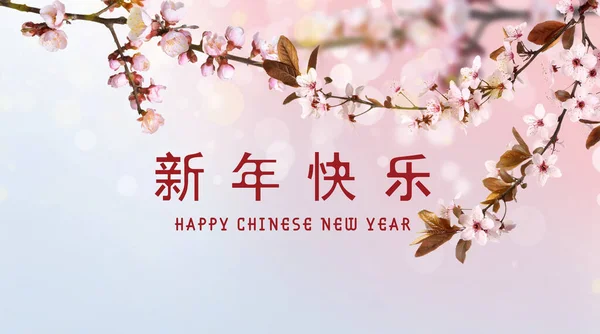 Piękna Kartka Życzeniami Szczęśliwego Chińskiego Nowego Roku — Zdjęcie stockowe