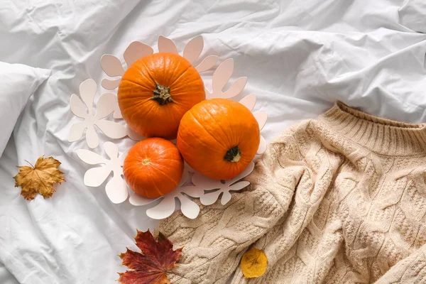 Fresh Pumpkins Sweater Bed — Stock Photo, Image
