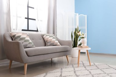 Gri kanepe ve perdelerle aydınlık oturma odasının içinde.