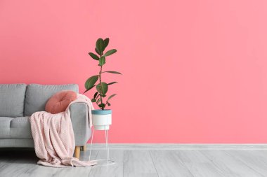 Pembe duvarın yanında battaniyeli ve çiçekli şık bir kanepe.