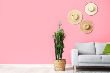 Pembe duvarın yanında yeşil kaktüs ve gri kanepe