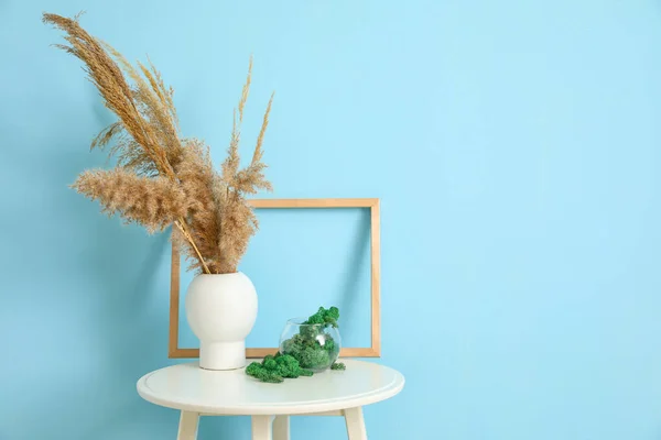 Vase Dry Reeds Decorative Moss Frame Table Blue Wall — Stock Photo, Image