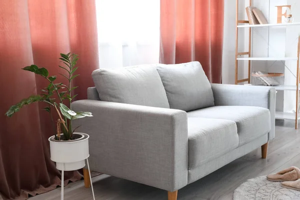 Graues Sofa Und Zimmerpflanze Neben Roten Vorhängen — Stockfoto