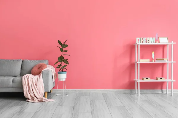 Interior Sala Estar Com Sofá Acolhedor Prateleiras Perto Parede Rosa — Fotografia de Stock