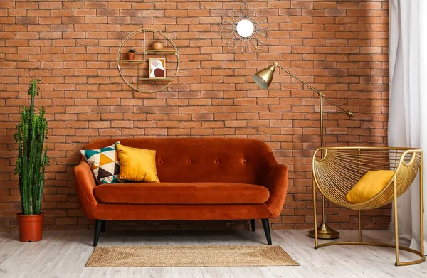 Stilvolle Möbel Mit Grünen Sukkulenten Inneren Des Zimmers — Stockfoto