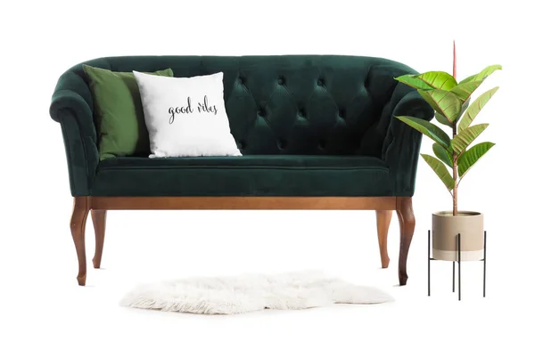Sofá Verde Profundo Com Travesseiros Planta Sala Fundo Branco — Fotografia de Stock