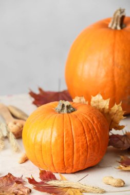 Taze balkabakları ve arkaplanda düşen yapraklar