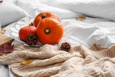 Kozalaklı taze balkabakları ve yatağa örülmüş süveter.