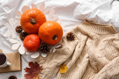 Kozalaklı taze balkabakları ve yatağa örülmüş süveter.