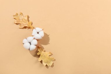 Bej arka planda pamuk ve düşmüş yapraklar