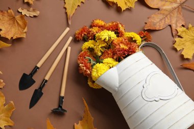 Kahverengi arka planda güzel kasımpatı çiçekleri ve bahçe aletleriyle sulama kutusu.