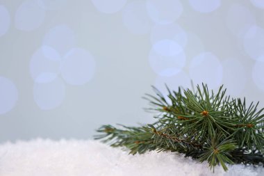 Karda dallar bulanık ışıklara karşı