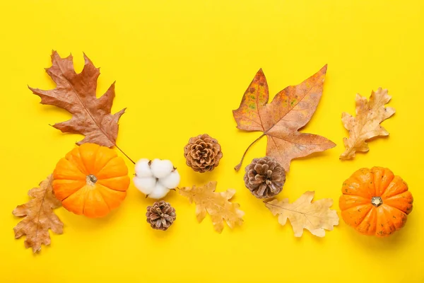 Σύνθεση Φθινοπώρου Βαμβακερό Λουλούδι Και Κολοκύθες Κίτρινο Φόντο — Φωτογραφία Αρχείου