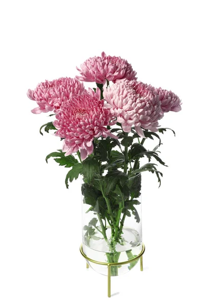 Vase Bouquet Beautiful Chrysanthemum Flowers White Background — Stock Photo, Image