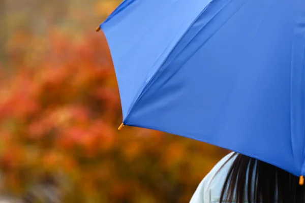 Donna Che Cammina Con Elegante Ombrello Luminoso Nel Parco Autunnale — Foto Stock