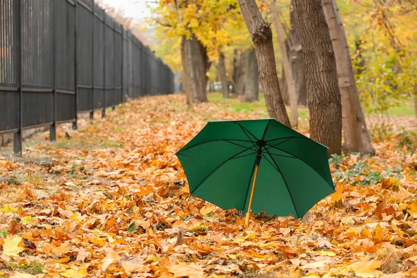 秋の公園でスタイリッシュな明るい傘 — ストック写真