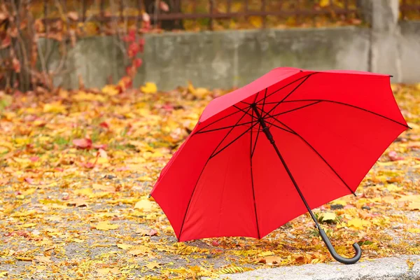 Stilvoller Heller Regenschirm Herbstpark — Stockfoto