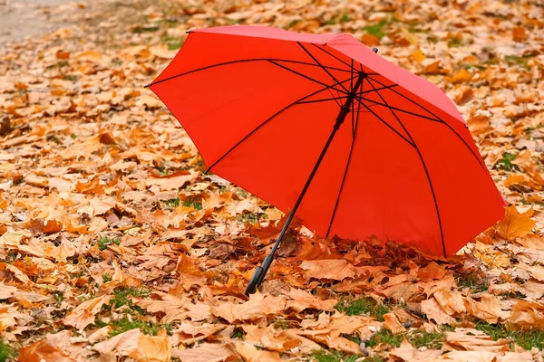 秋の公園でスタイリッシュな明るい傘 — ストック写真