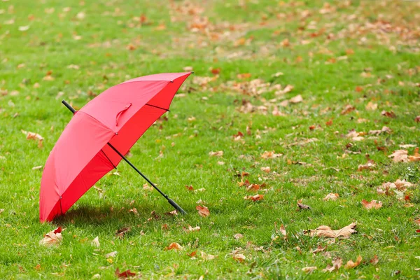 緑の芝生の上でスタイリッシュな明るい傘屋外 — ストック写真