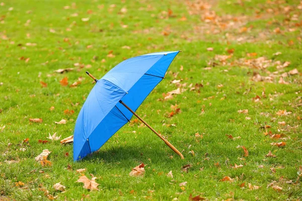 緑の芝生の上でスタイリッシュな明るい傘屋外 — ストック写真