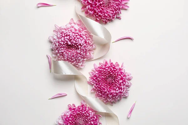 Beautiful chrysanthemum flowers and ribbon on white background