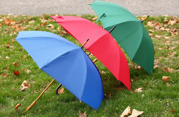 緑の芝生の屋外で異なる明るい傘 — ストック写真