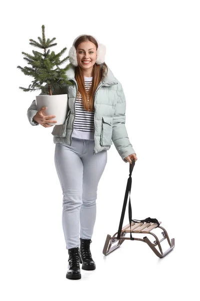 Junge Frau Mit Schlitten Und Weihnachtsbaum Auf Weißem Hintergrund — Stockfoto