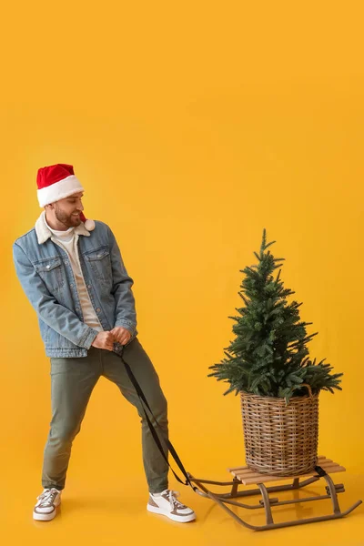 若いです男でそりとクリスマスツリー上の色の背景 — ストック写真