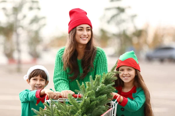 女性と彼女のかわいい子供とともにクリスマスツリーでショッピングカート屋外 — ストック写真