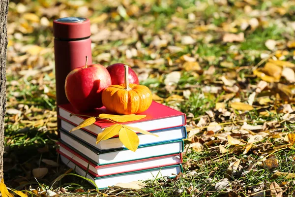 Empilement Livres Citrouille Pommes Thermos Bouteille Dans Parc Automne — Photo