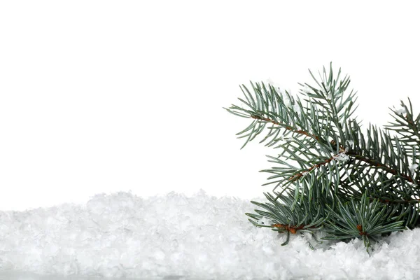 Гілка Вогню Снігу Білому Тлі — стокове фото