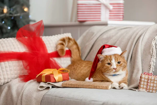 Niedliche Rote Katze Weihnachtsmütze Und Mit Geschenken Hause Heiligabend — Stockfoto